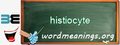 WordMeaning blackboard for histiocyte